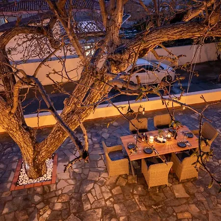Walnut Tree Villa *